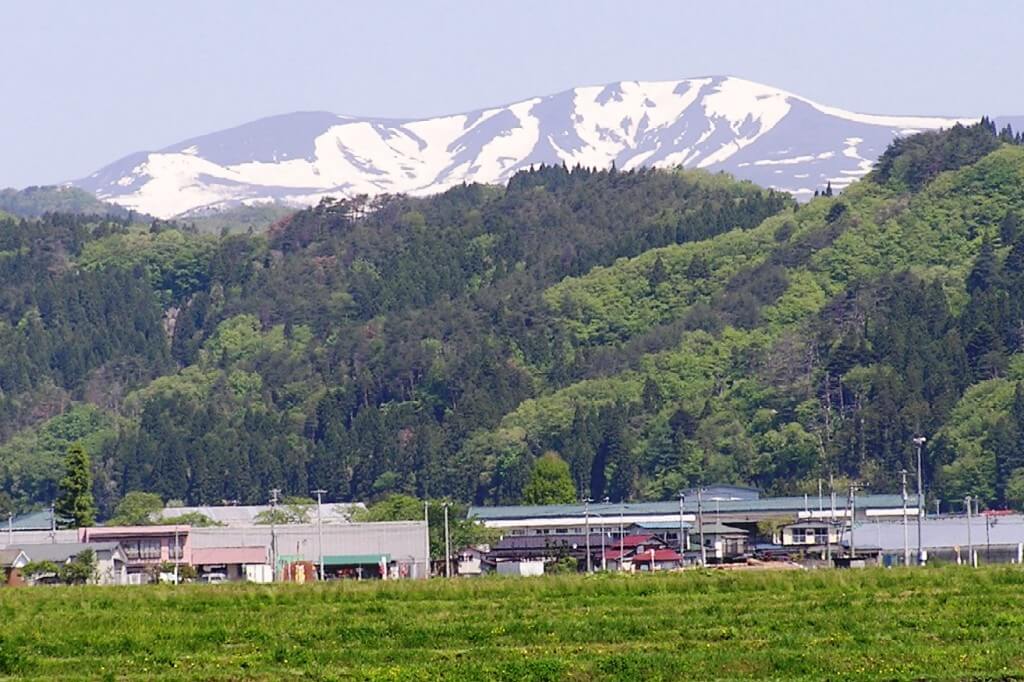 宮城県栗原産ササニシキ6年産25㎏