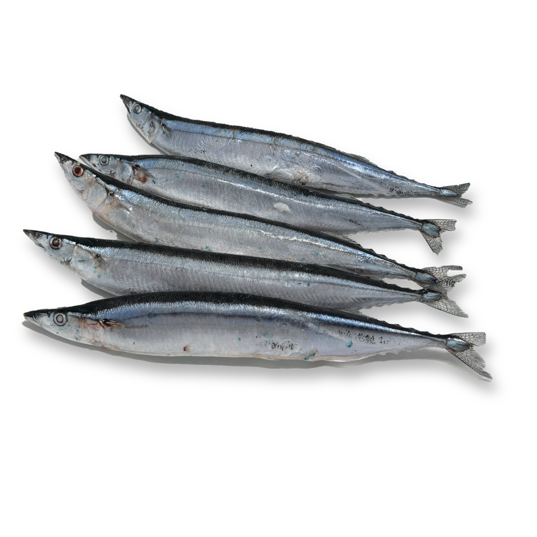 お刺身冷凍サンマ【2Lサイズ5尾】