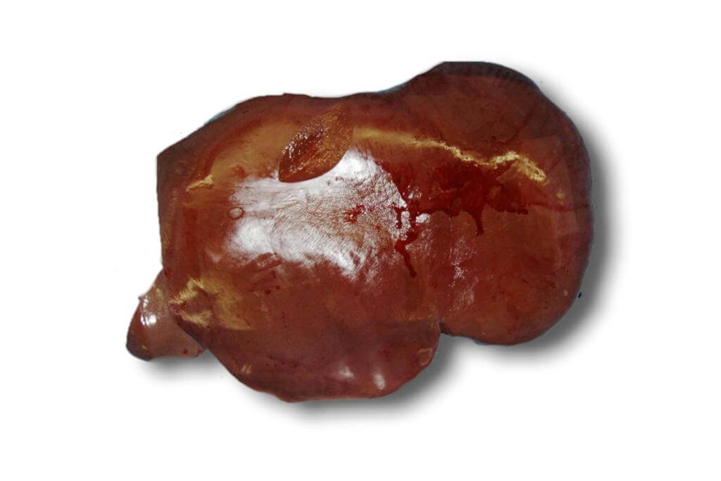 帯広牛レバー1セット（概算重量7kg）