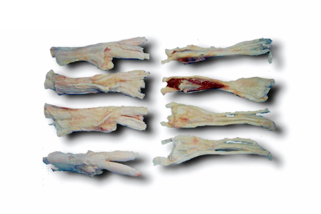 帯広牛アキレス1kg　※1㌜4～5頭入り（約6～8ｋｇ）